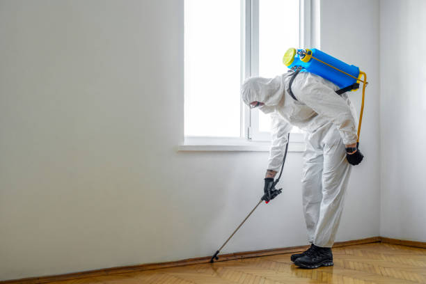 Pest Control for Restaurants in Country Walk, FL