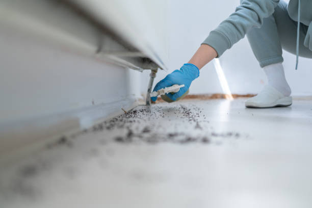 Best Termite Control Services  in Country Walk, FL
