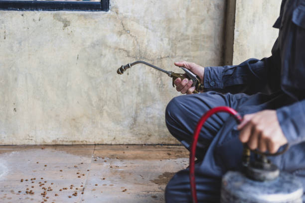 Best Termite Control Services  in Country Walk, FL